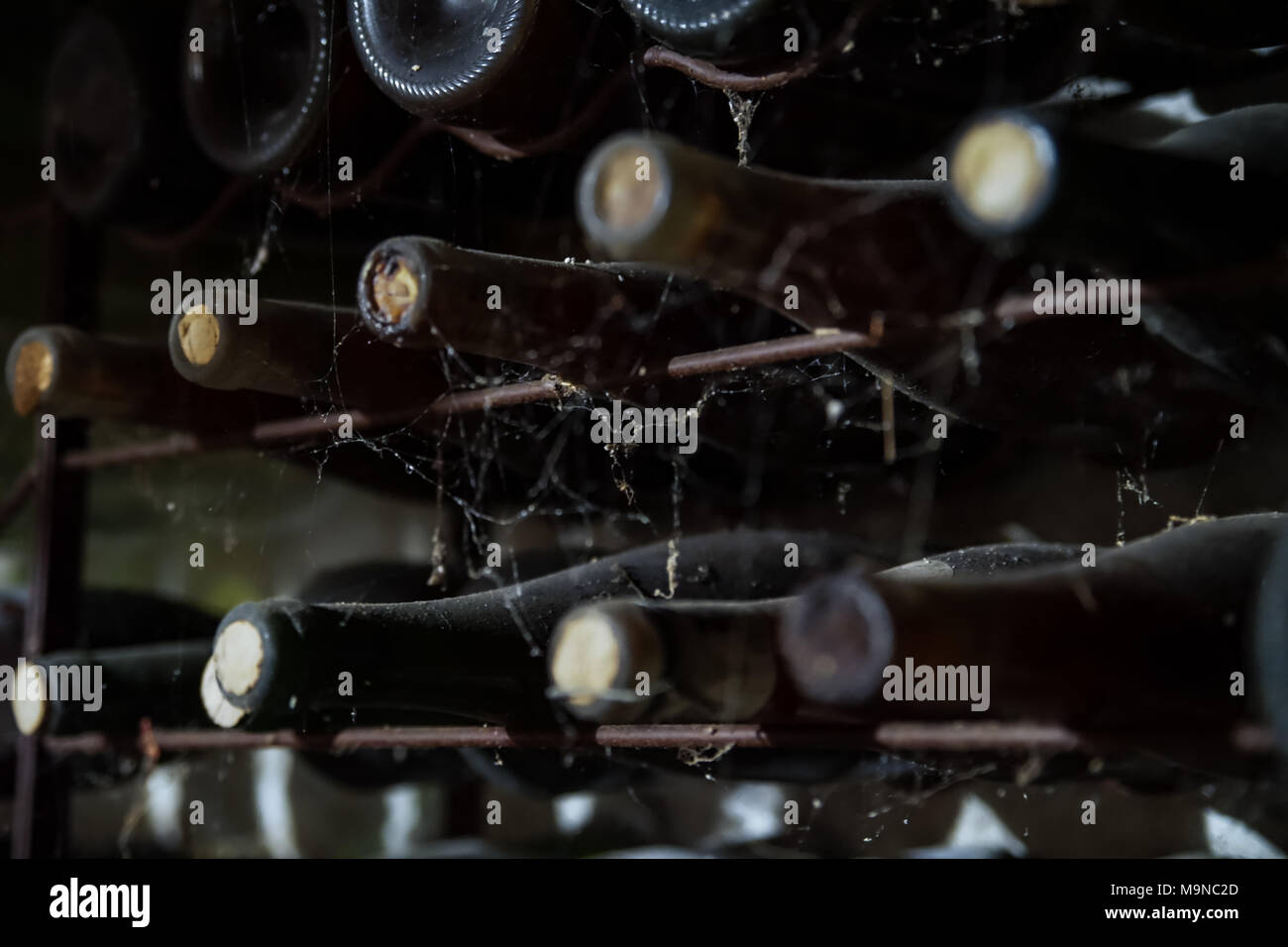 Vecchie bottiglie di vino con polvere e spider web nella cantina della casa, Francia Foto Stock