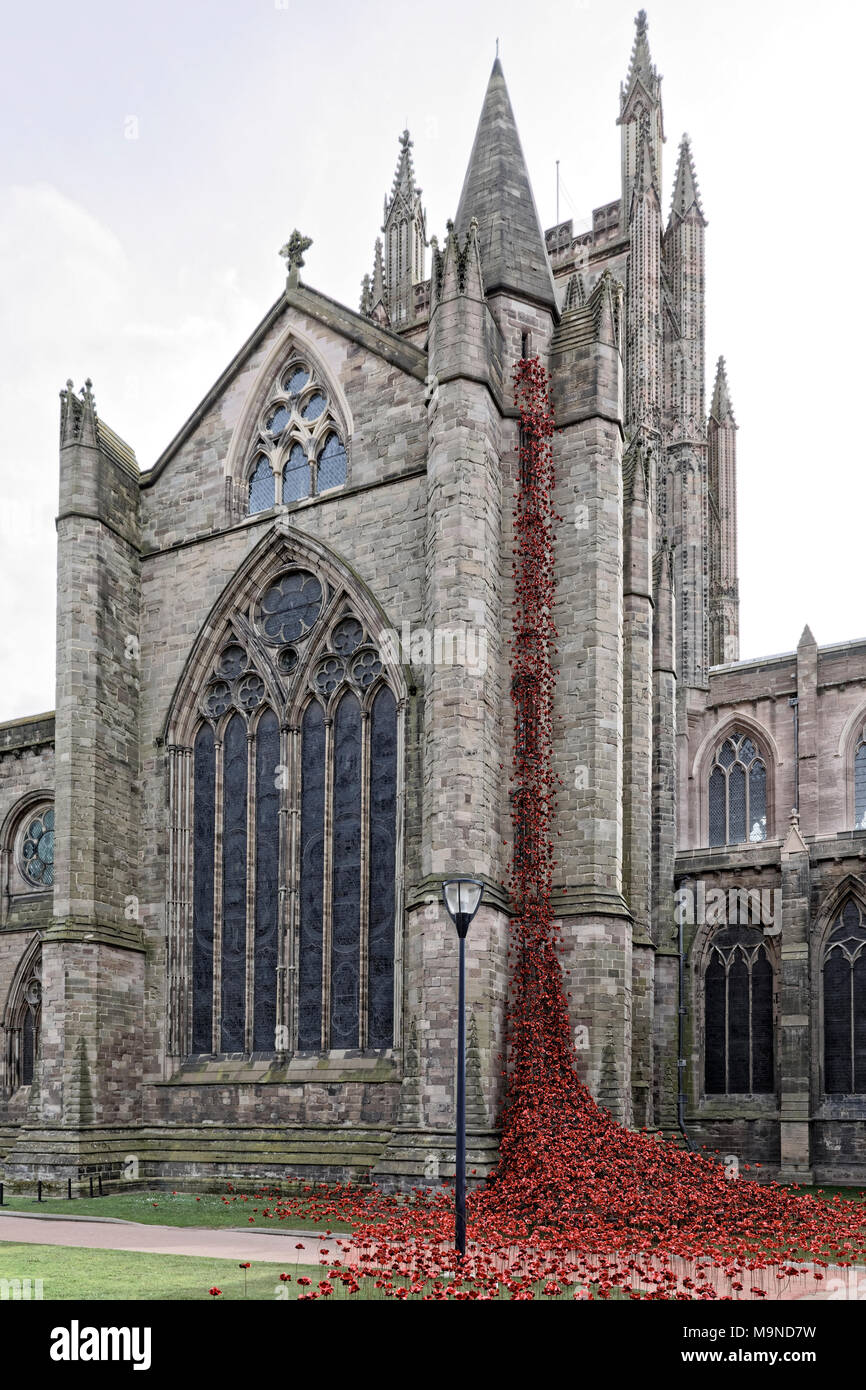 Rosso papavero ceramica cadere dalla finestra di pianto di Hereford cattedrale transetto nord Foto Stock