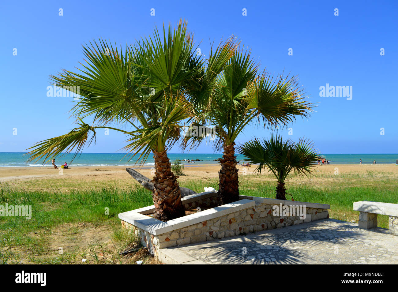 Panorama di palme nane e la bellissima spiaggia, Donnalucata, Ragusa, Sicilia, Italia Foto Stock