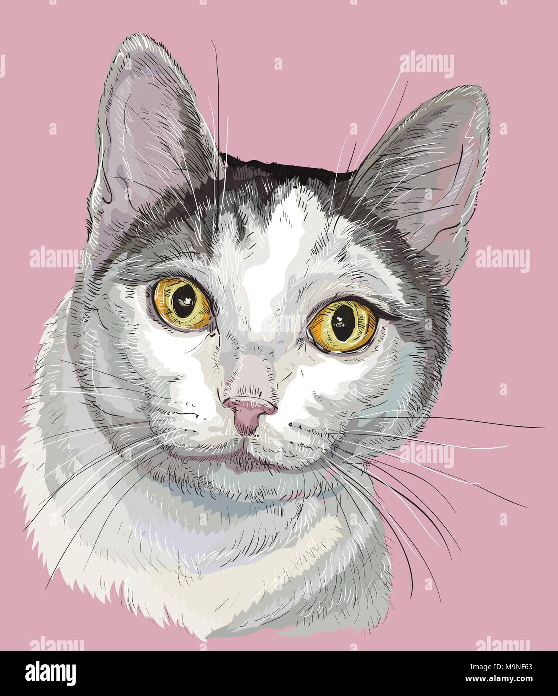 Profilo di vettore ritratto colorato di curiosi mongrel cat in nero, bianco e grigio. Disegno a mano illustrazione isolato su sfondo rosa Illustrazione Vettoriale