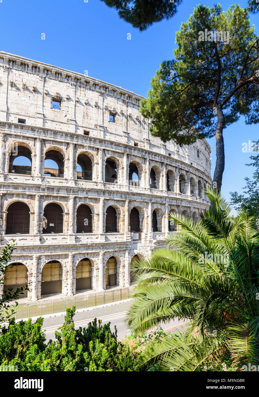 Il Colosseo, Roma, Italia Foto Stock