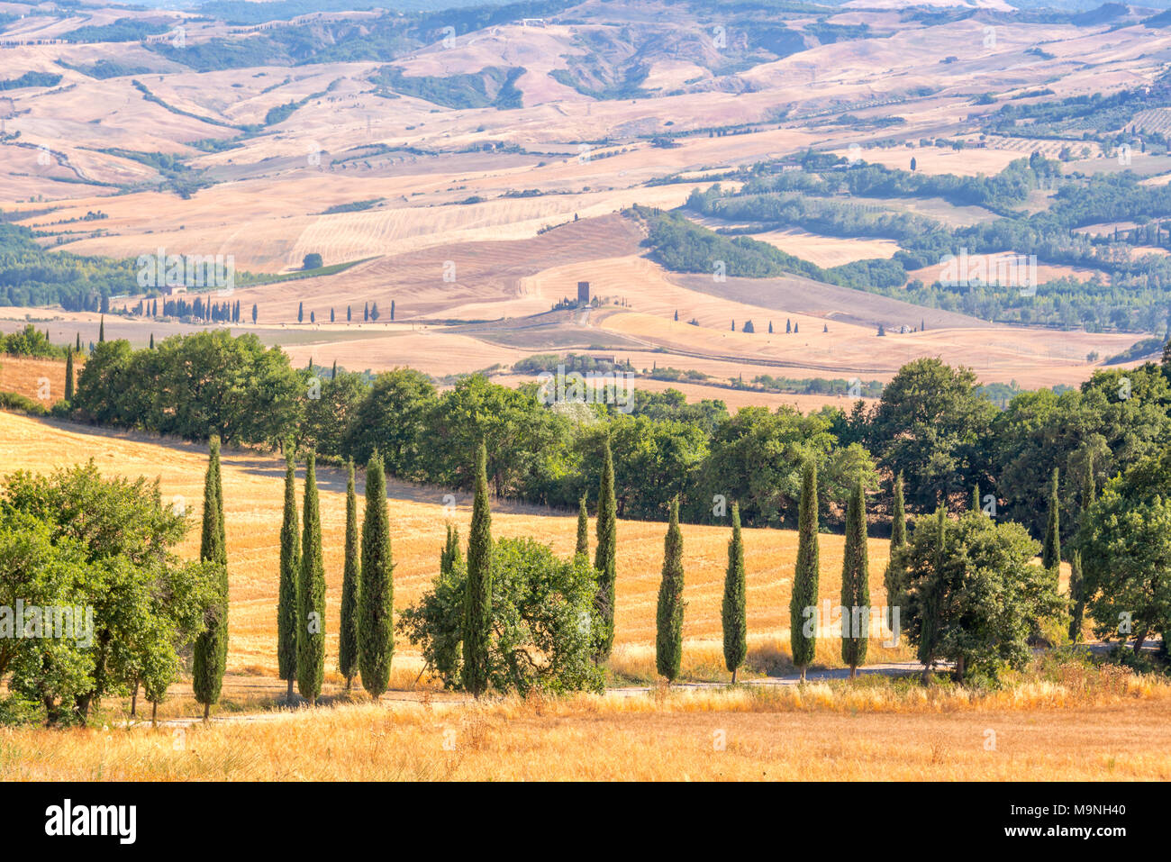 Bellissimo paesaggio tipico della Toscana con cipressi, Toscana, Italia Foto Stock