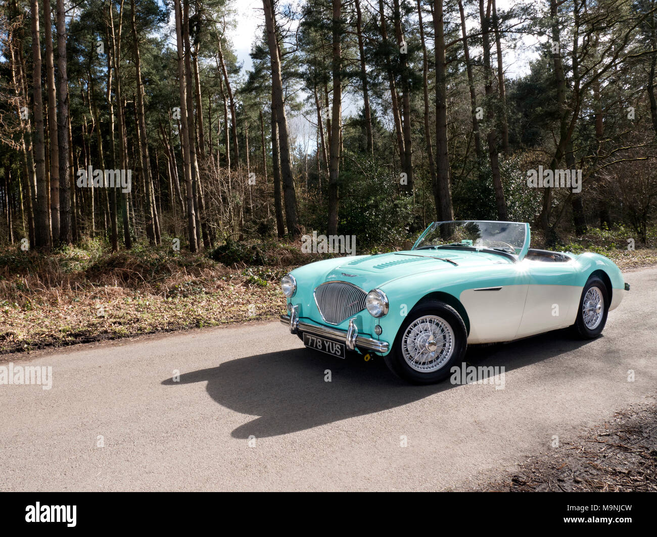 1956 Austin Healey 100/4 BN2 Foto Stock