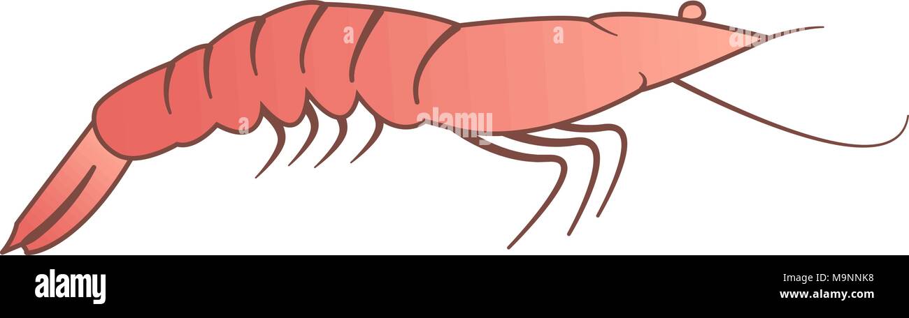Vettore semplificata illustrazione adibiti alla pesca di gamberetti Illustrazione Vettoriale