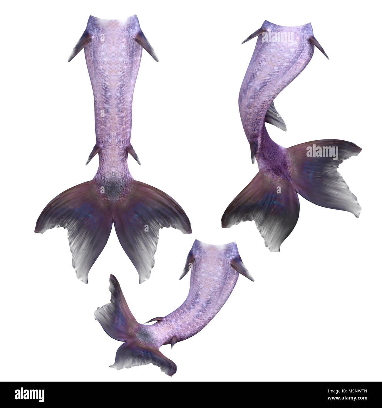 Set di viola mermaid tails isolato su bianco, 3D render. Foto Stock