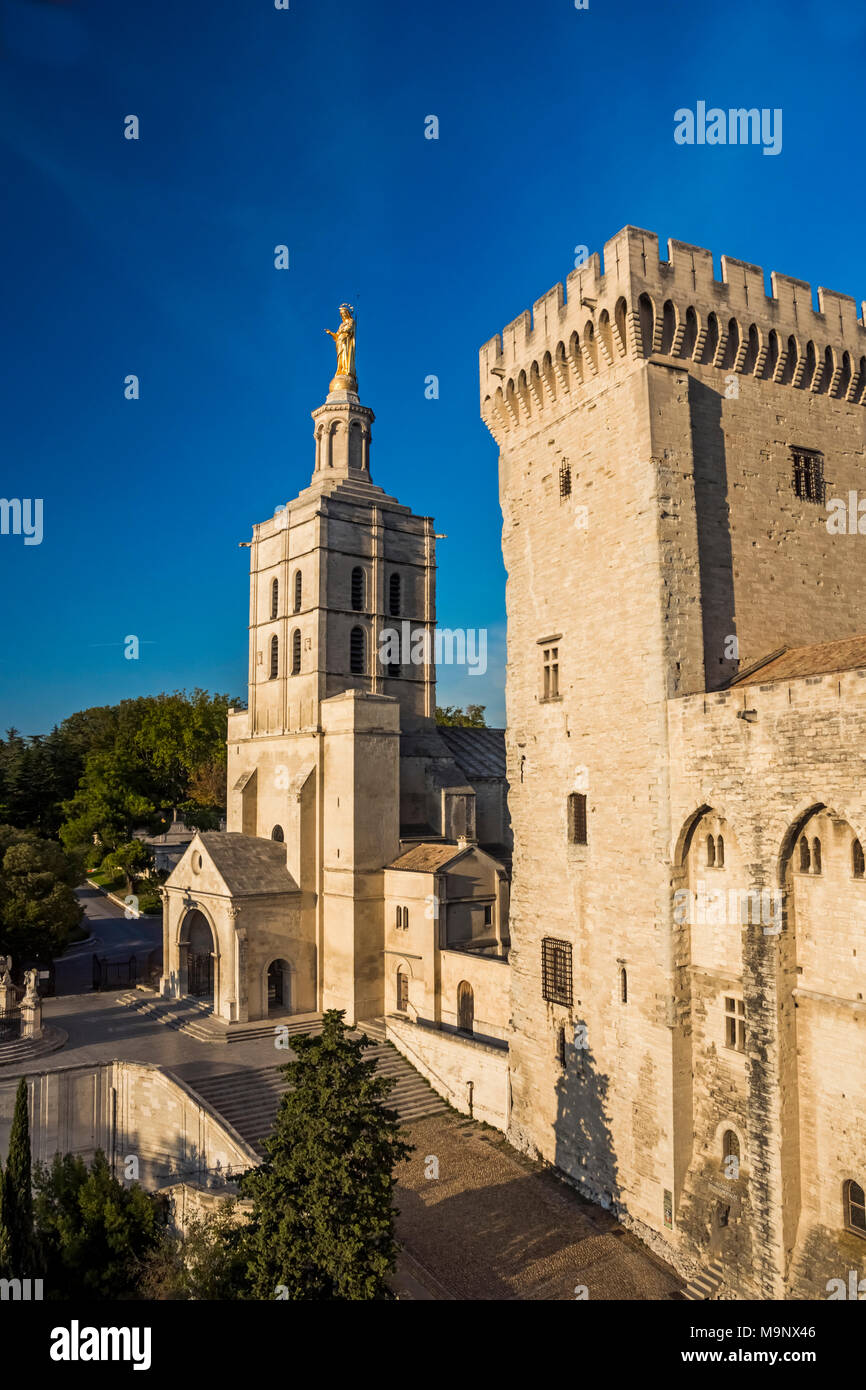 Il Palazzo dei Papi di Avignone, Francia Foto Stock