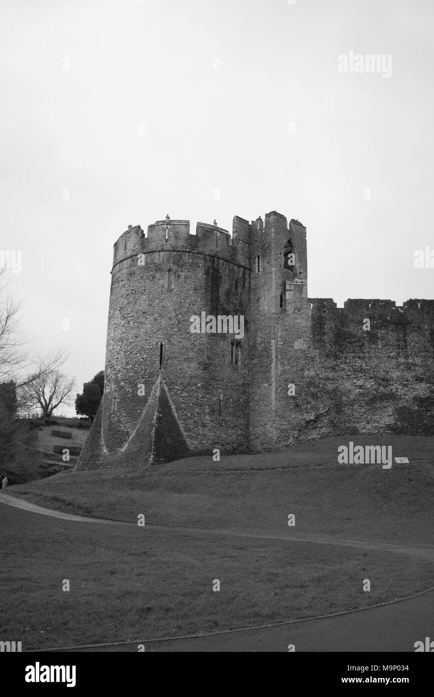 Castello di Chepstow Foto Stock