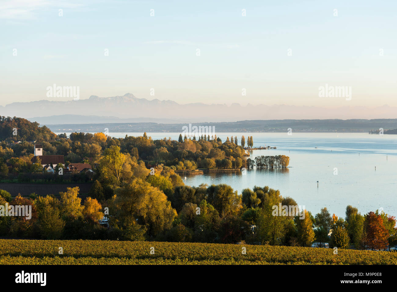 Vista sul lago di Costanza, in retro alpi svizzere con il Säntis, Uhldingen-Mühlhofen, Lago di Costanza, Baden-Württemberg, Germania Foto Stock