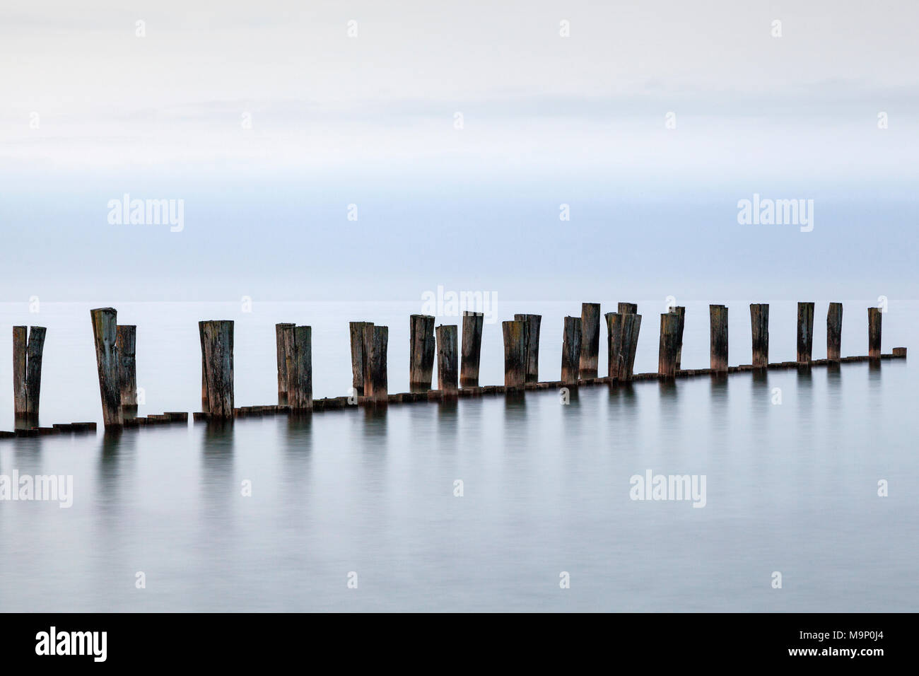 Pennelli, stadi di legno, il tempo di esposizione lungo, Zingst, Fischland-Darß-Zingst, Western Pomerania Area Laguna Parco Nazionale Foto Stock