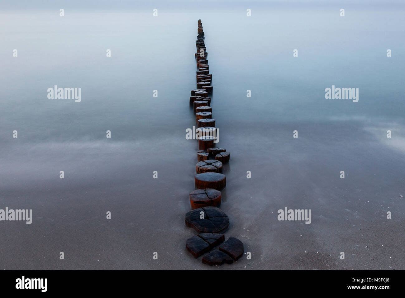 Pennelli, stadi di legno, il tempo di esposizione lungo, Zingst, Fischland-Darß-Zingst, Western Pomerania Area Laguna Parco Nazionale Foto Stock