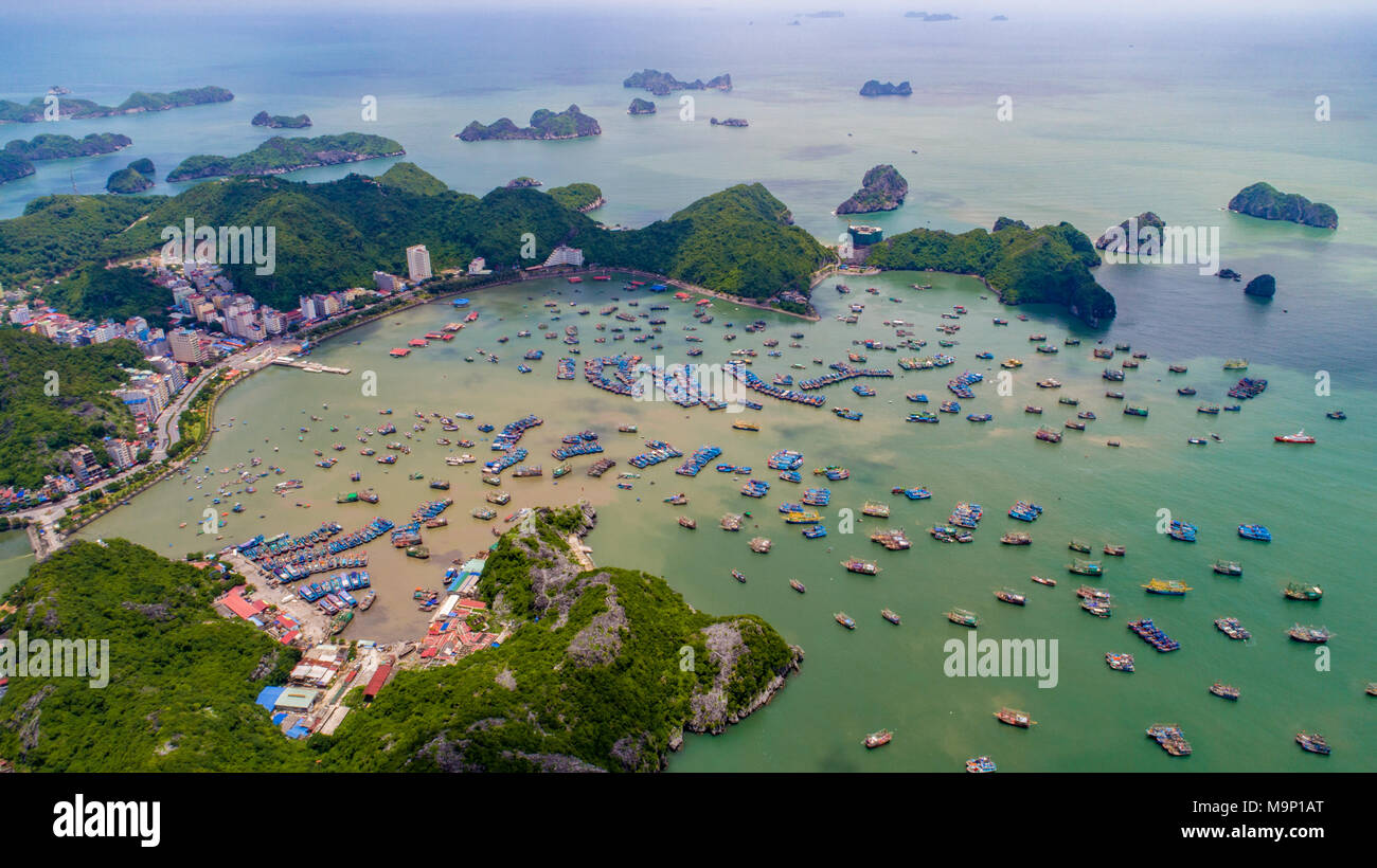 Cat Ba island da sopra. Lan Baia di Ha. Hai Phong, Vietnam Foto Stock