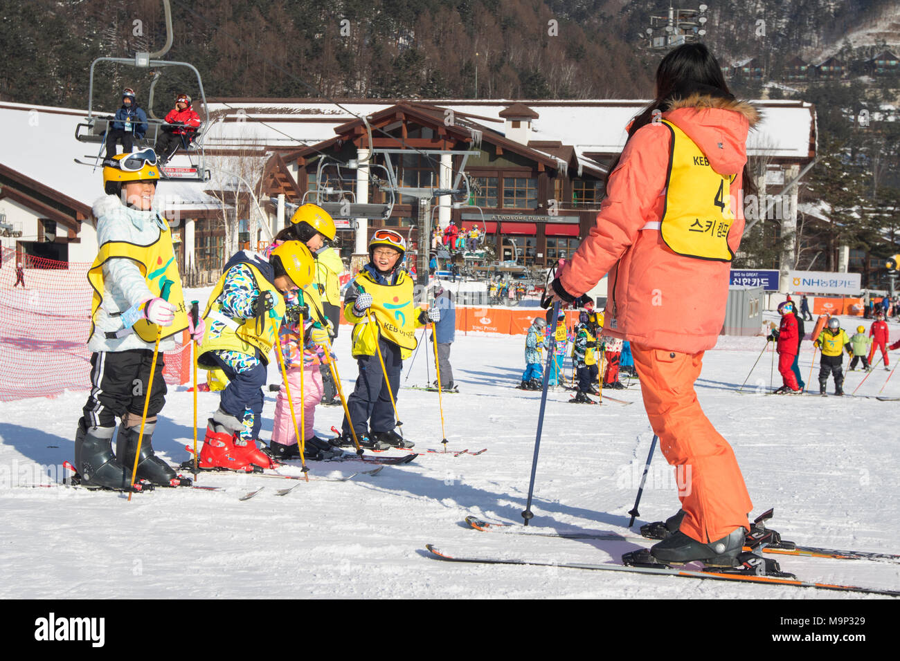 Un maestro di sci e un gruppo di bambini asiatici in un coniglietto pendenza di Yongpyong. Yongpyong (Dragon Valley) Ski Resort è una stazione sciistica in Corea del Sud, situato in Daegwallyeong-myeon, Pyeongchang, Gangwon-do. È il più grande sci e snowboard resort in Corea. Yongpyong ospiterà la tecnica sci alpino eventi per il 2018 Olimpiadi e Paraolimpiadi invernali di Pyeongchang. Alcune scene del 2002 Korean Broadcasting System dramma Sonata di Inverno sono state filmate presso il resort. Foto Stock