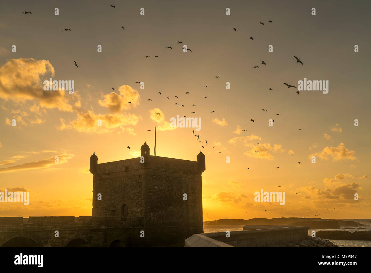 Tramonto dietro Scala du Port Harbour tower con battenti gabbiani, Essaouira, Marocco Foto Stock