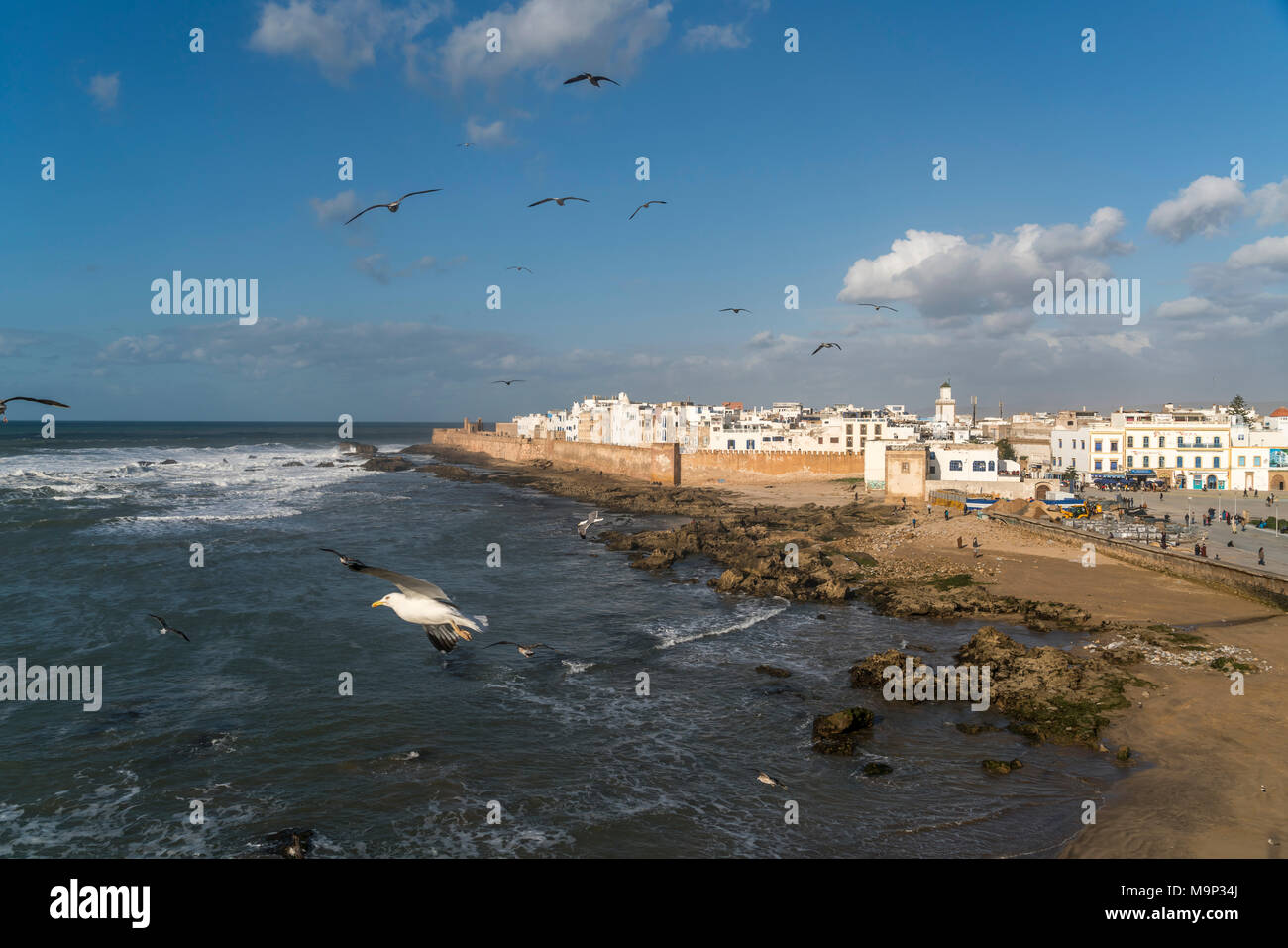 Parete della città e medina sulla costa, Essaouira, Marocco Foto Stock