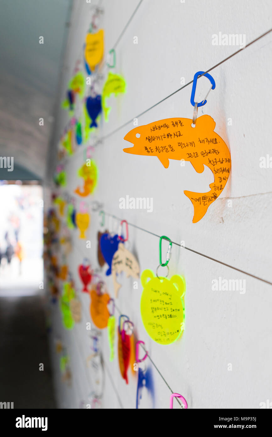 Figure di pesce con auguri scritto su di loro sono appesi al Hwacheon Sancheoneo Festival di ghiaccio. Essi sono creduti per portare buona fortuna. Il Hwacheon Sancheoneo Festival di ghiaccio è una tradizione per il popolo coreano. Ogni anno nel mese di gennaio la folla si riuniranno presso il fiume congelato per celebrare il freddo e la neve dell'inverno. Attrazione principale è la pesca sul ghiaccio. Giovani e vecchi attendere pazientemente su un piccolo buco nel ghiaccio per una trota di mordere. In tende possono lasciare il pesce grigliato dopo che loro sono mangiati. Tra le altre attività sono corse in slittino e pattinaggio sul ghiaccio. La vicina regione Pyeongchang ospiterà le Olimpiadi Invernali nel Foto Stock