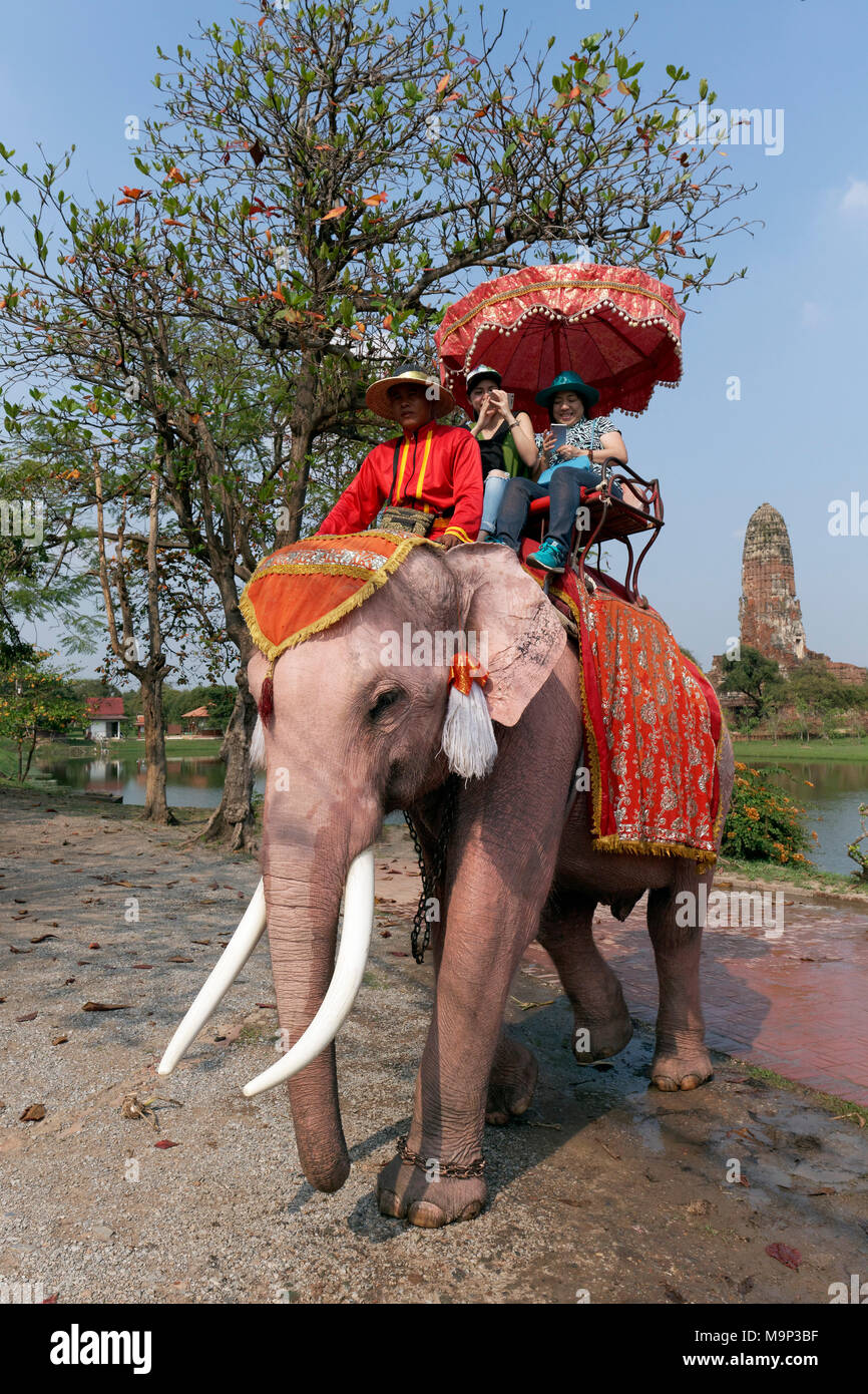 I turisti corsa su elefante decorata in Ayutthaya parco storico, Ayutthaya, Thailandia Foto Stock
