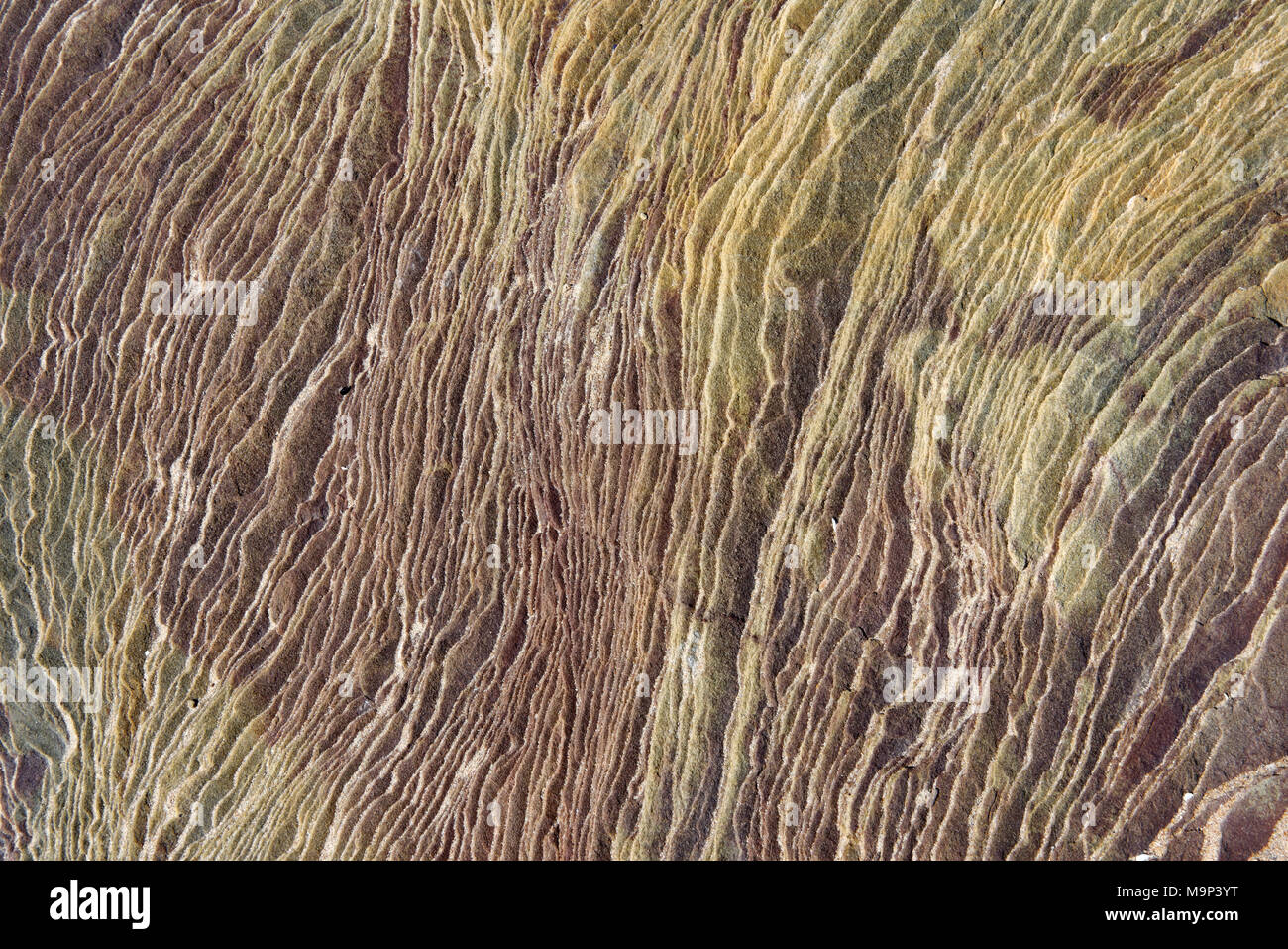 Sandformation, Strand, Sandstrand von Dornoch, Caithness, Sutherland, Highland, Schottland, Scotland, Regno Unito, Großbritannien, Foto Stock