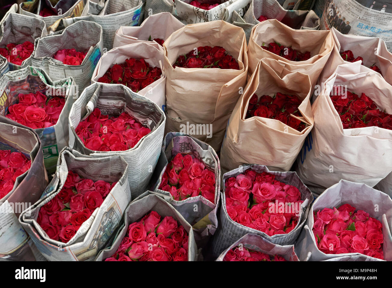 Rose, avvolto in carta da giornale, per la vendita, Pak Khlong Talat, il mercato dei fiori, Phra Nakhon, Bangkok, Thailandia Foto Stock