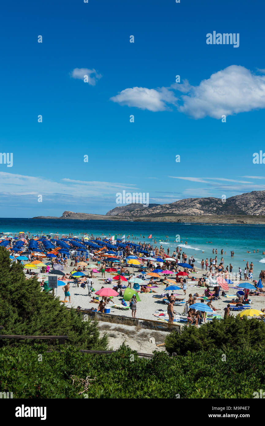 Affollata spiaggia della Pelosa, Sardegna, Italia Foto Stock