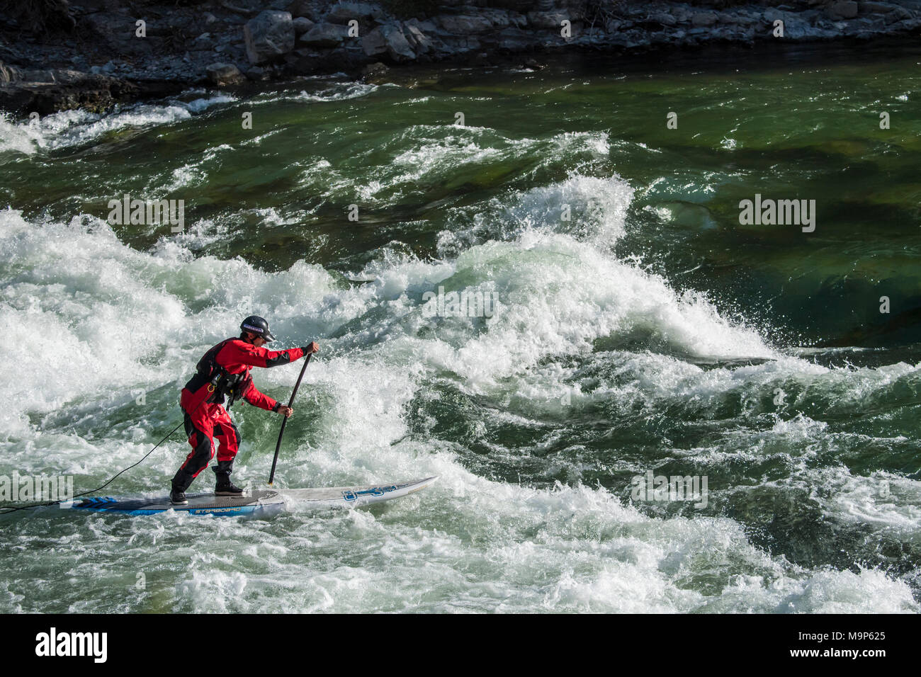 Voce maschile stand up paddleboarding sul fiume Snake in Jackson, Wyoming Foto Stock