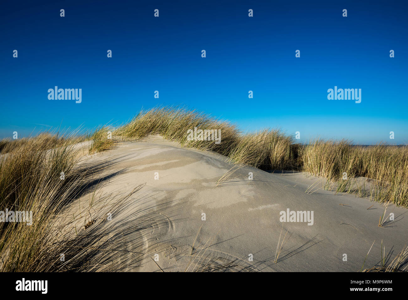 Dune di sabbia e il cielo blu, Spiekeroog, Est Isole Frisone, Frisia orientale, Bassa Sassonia, Germania Foto Stock