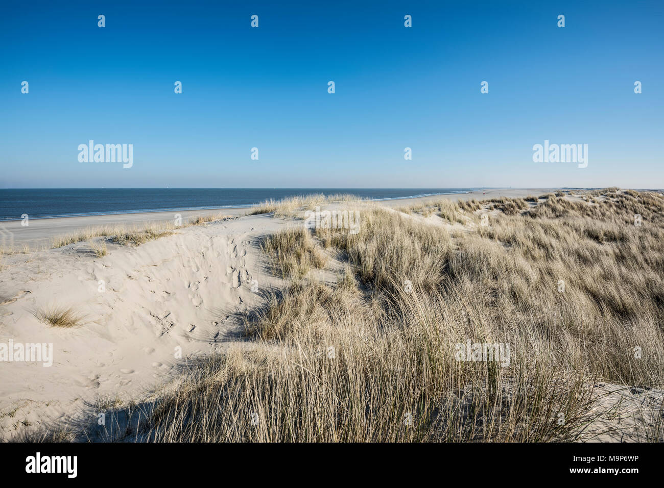 Dune e cielo blu, Spiekeroog, Est Isole Frisone, Frisia orientale, Bassa Sassonia, Germania Foto Stock