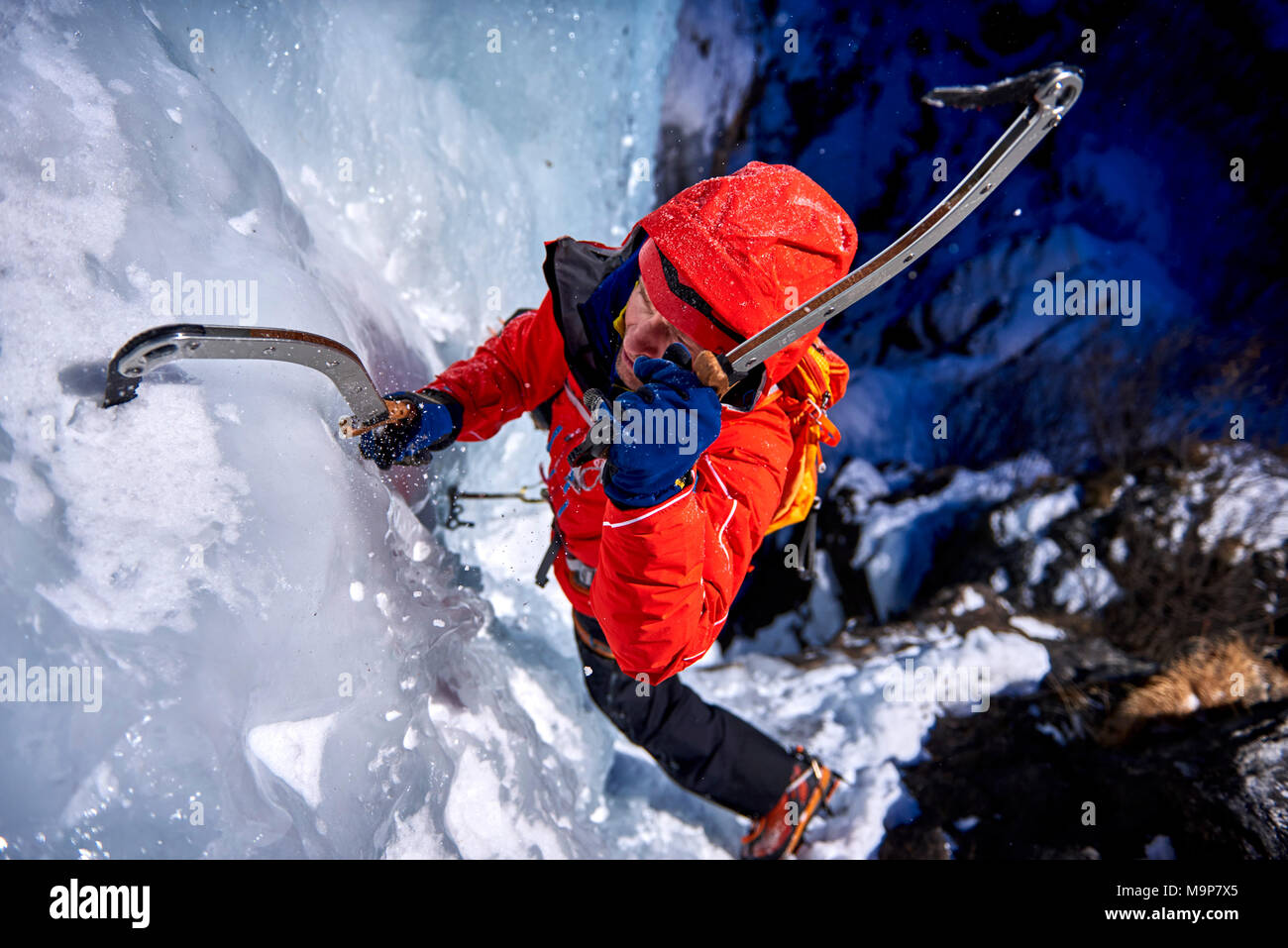 Ice Climber Fluido di arrampicata su cascate di ghiaccio azzurro, Passo del Sempione, il Cantone del Vallese, Svizzera Foto Stock