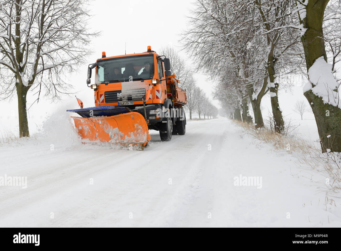 Snow Plough su terreni innevati avenue in inverno, servizi invernali, Burgenlandkreis, Sassonia-Anhalt, Germania Foto Stock