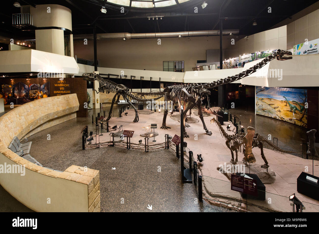 Eintrance hall con scheletri di dinosauri, Sirindhorn Dinosaur Museum, Non Buri, Sahatsakhan district, provincia di Kalasin, Isan Foto Stock