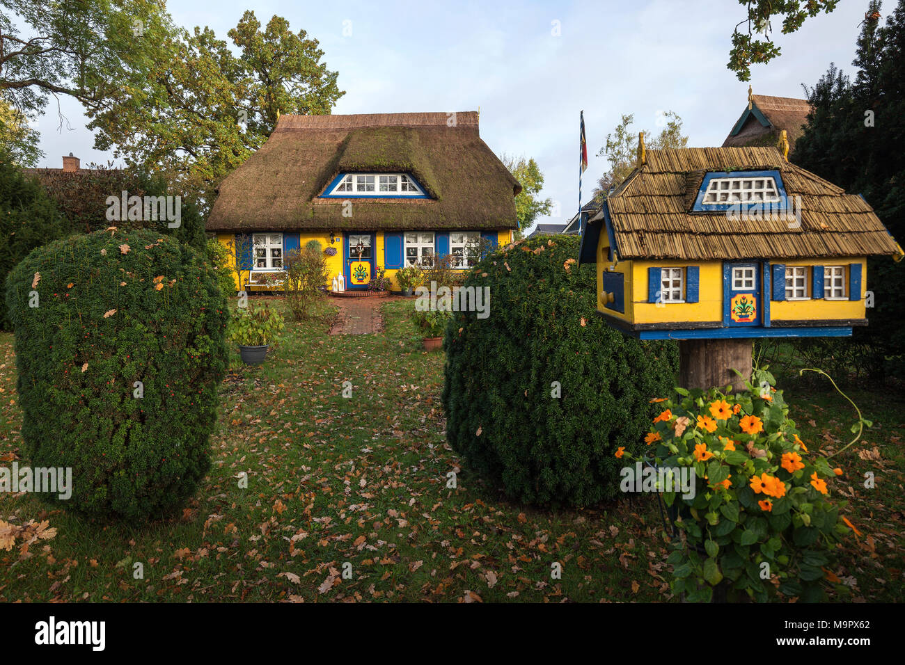 Tipici giallo con tetto di paglia house con bird house, nato am Darß, Fischland-Darß-Zingst, Meclemburgo-Pomerania Occidentale Foto Stock