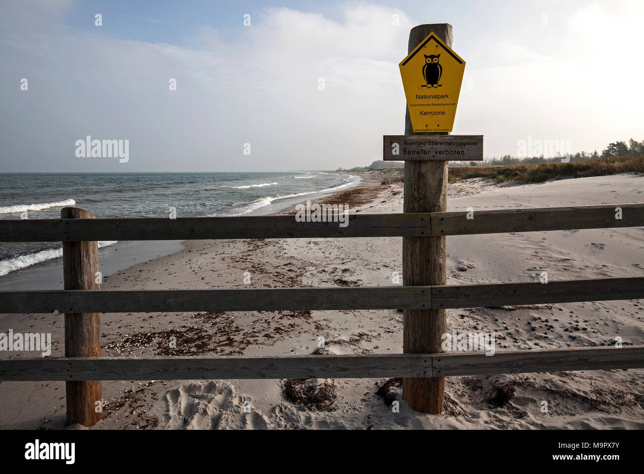 Barriera con cartello sulla riproduzione, il riposo e la zona di svernamento presso il Baltic seaside resort Zingst, Fischland-Darß-Zingst, Western Foto Stock
