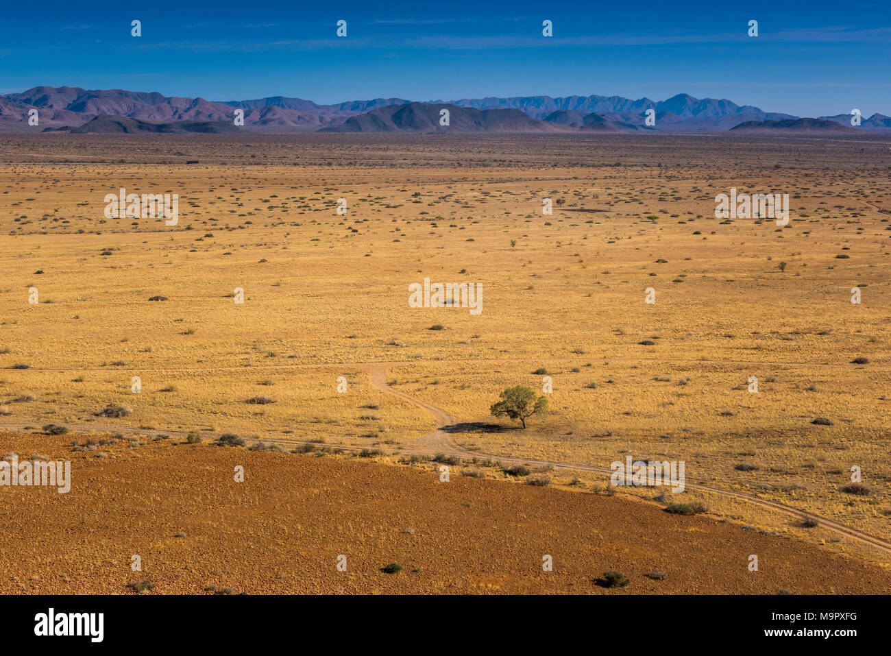 Paesaggio secco del Naukluft mountains, Namib-Naukluft-Park, Hardap-District, Namibia Foto Stock
