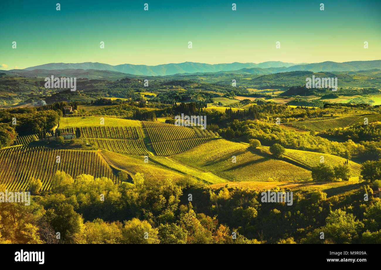 Vista panoramica della campagna e chianti vigneti di Vernaccia di San Gimignano su sunrise. Toscana, Italia, Europa. Foto Stock