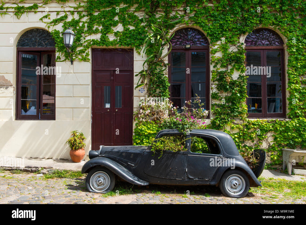 Auto rottamata di oldtimer ricoperta da piante, Colonia del Sacramento, Uruguay Foto Stock