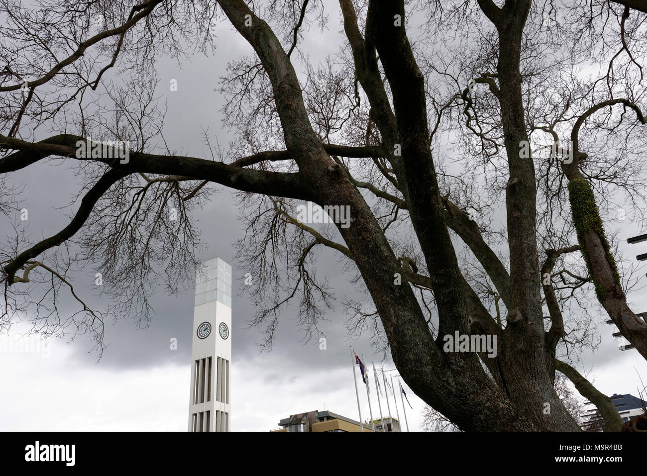 Torre dell Orologio a Palmerston North Nuova Zelanda Foto Stock