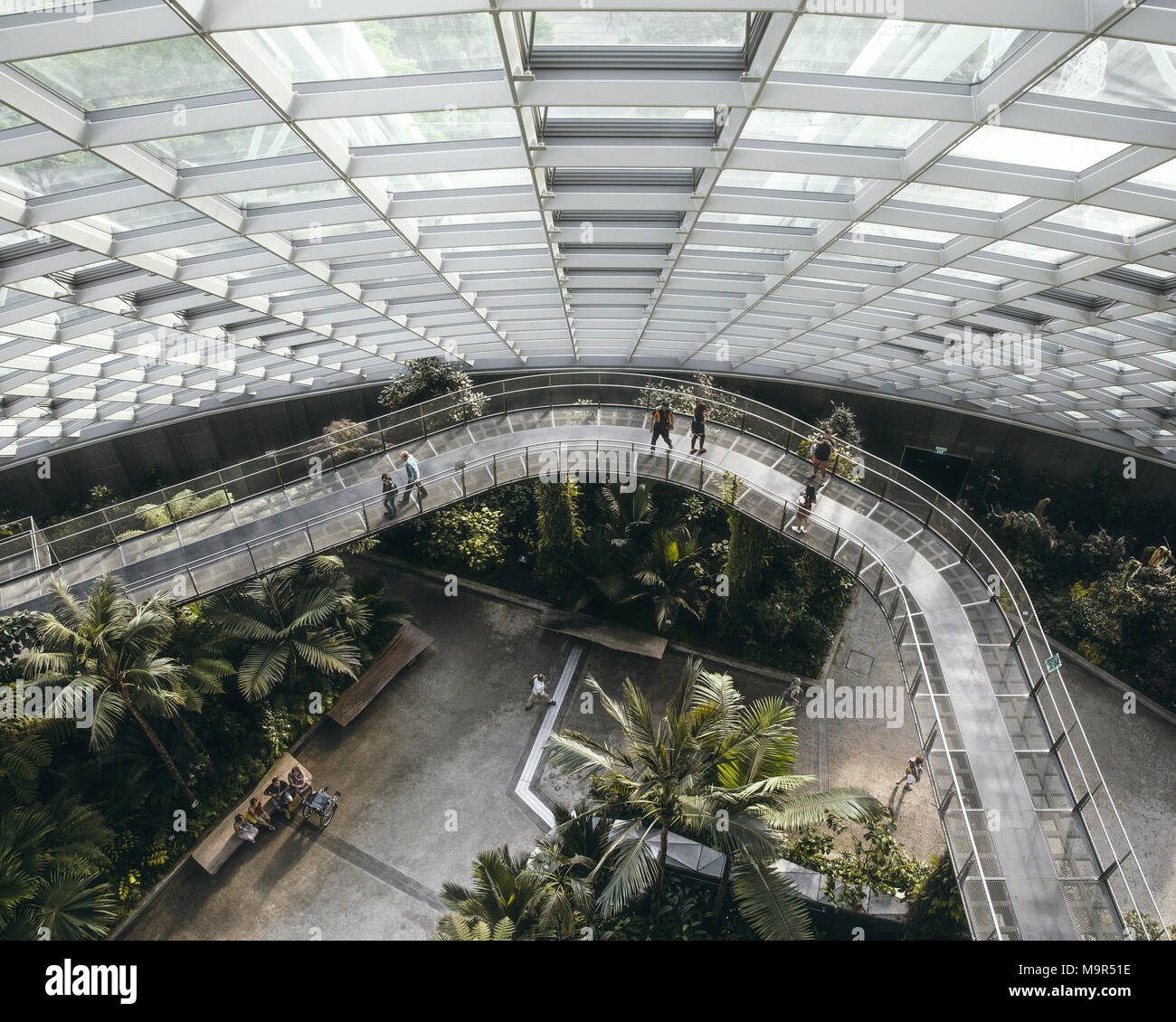 Il Cloud Forest serra è parte di giardini in Bay complesso in Bayfront, Singapore. Foto Stock