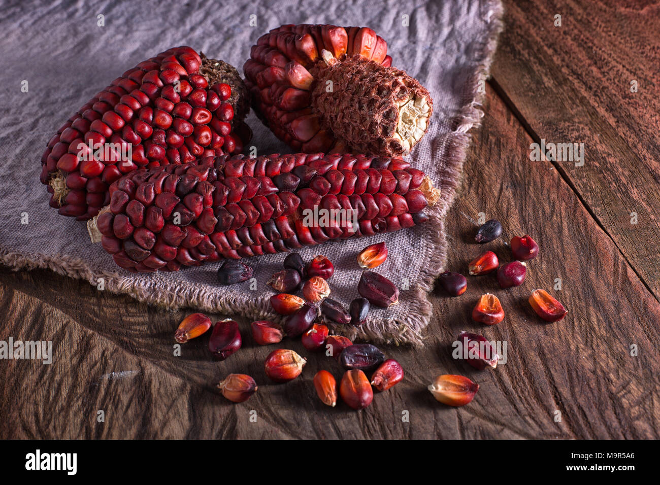 Cimelio di rosso il mais da Ecuador Foto Stock