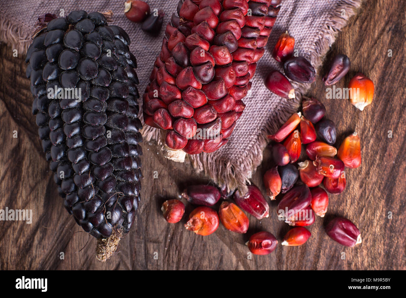 Rosso e nero cimelio di tutoli di mais da Ecuador Foto Stock