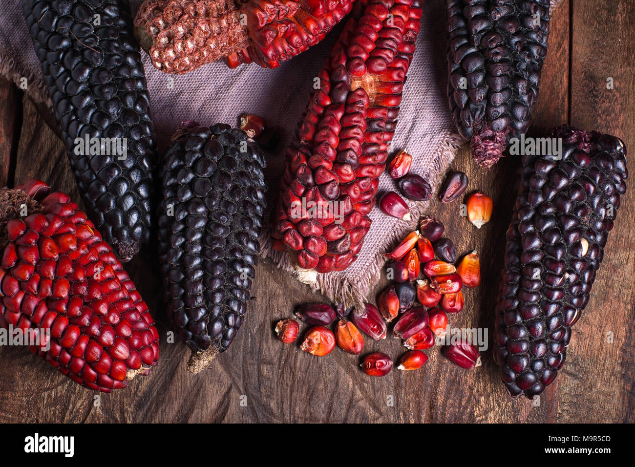 Rosso e nero cimelio di tutoli di mais da Ecuador Foto Stock