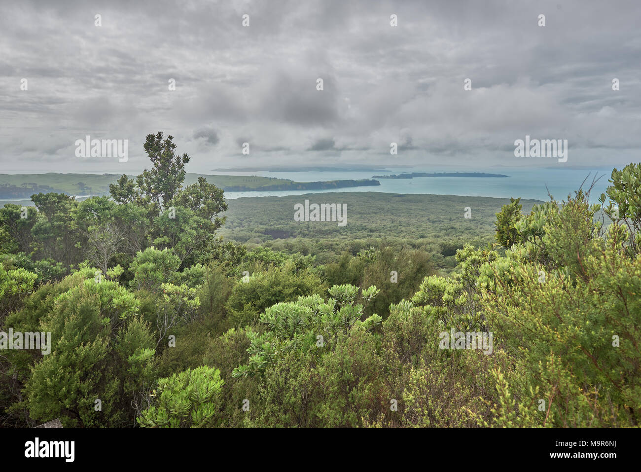 Vista attraverso il Golfo di Hauraki dal vertice di Rangitoto Nuova Zelanda Foto Stock