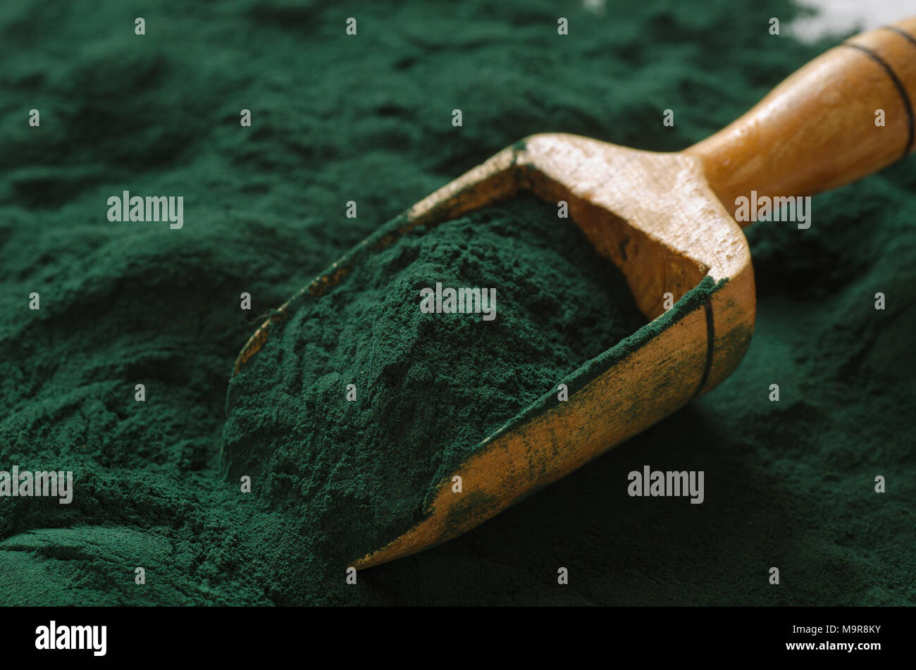 Organici di spirulina in polvere. Spirulina è superfood utilizzato come integratore alimentare fonte di vitamina E di proteina beta-carotene Foto Stock