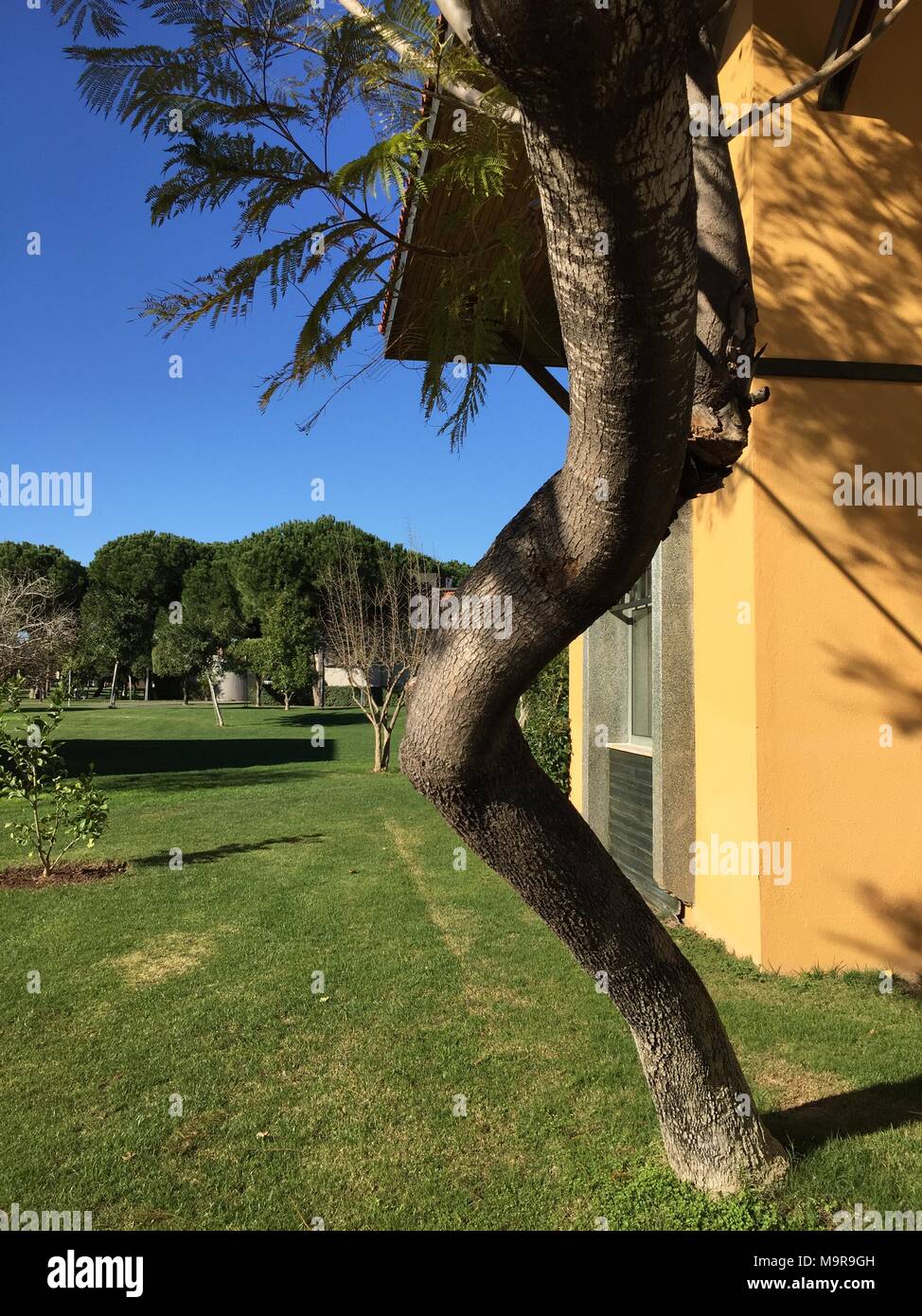 La struttura Casa natura naturale paesaggio verde erba da giardino Foto Stock