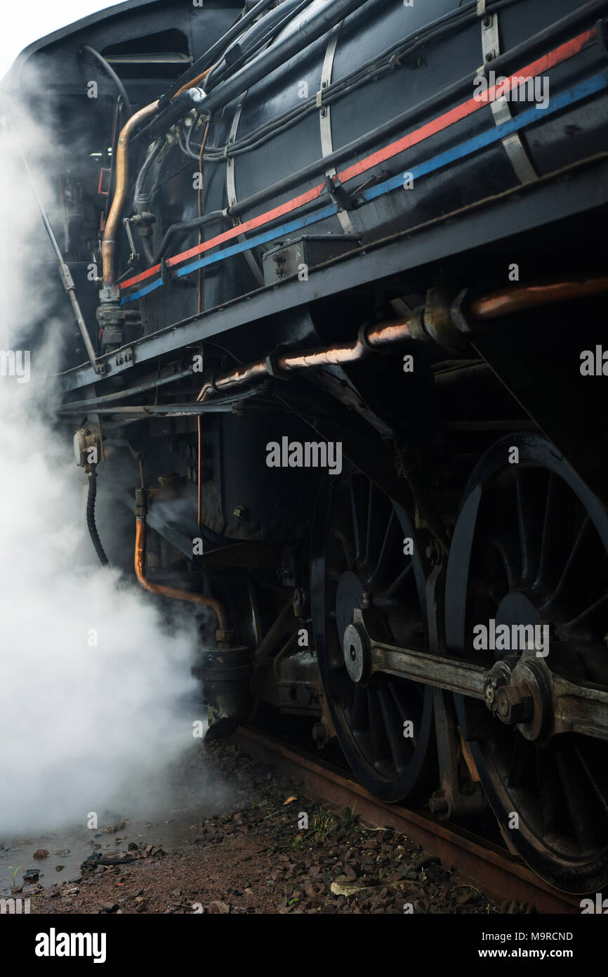 Classe lavoro 19D'annata locomotiva a vapore lo scarico di vapore in pressione mentre forniscono un servizio come il Inchanga choo-choo classica esperienza di rampa Foto Stock