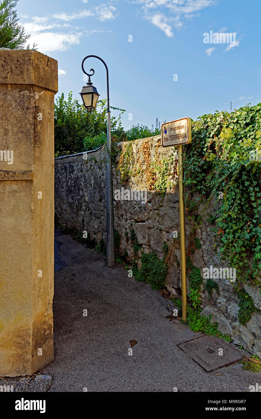 L'Europa, Francia Auvergne Rhône incubo, Évian-les-Bains, Chemin del terreno, Chemin del terreno, alberi, piante, parete, lanterne, luogo di inter Foto Stock