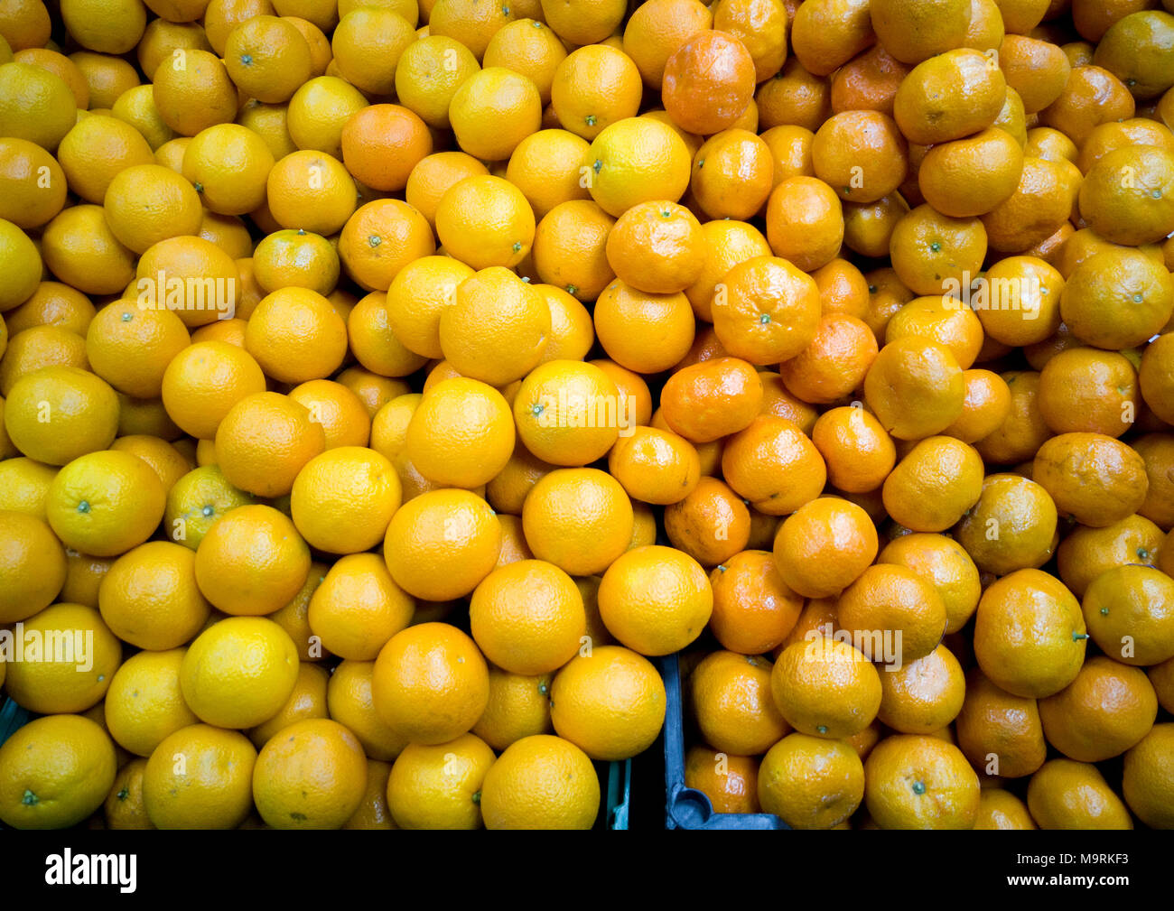 Un sacco di bella agrumi sono nella vetrina del negozio. Foto Stock