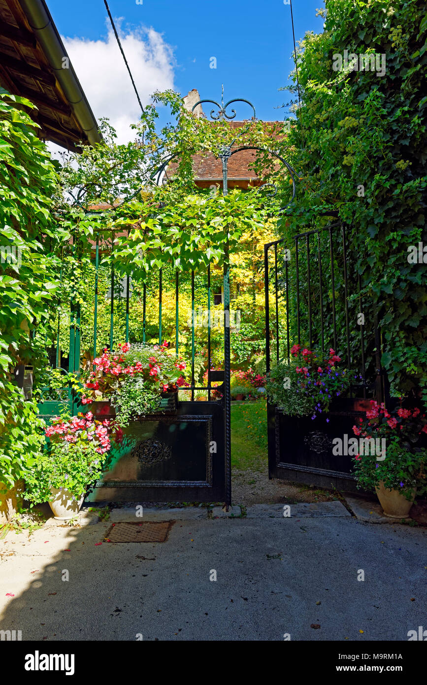 L'Europa, Francia, Giura (Francia - Comté), Arbois, Impasse de l'Abelle, scene di strada, luogo di interesse, turismo, alberi, piante, fiori, modi, architectu Foto Stock