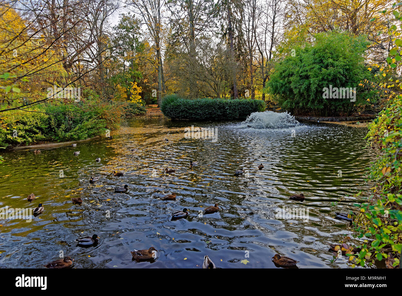 L'Europa, Francia, Auvergne, Vichy, Parc Napoleone III, Duck Pond, fontana, alberi, piante, lago, acqua, animali, luogo di interesse, turismo, ben, dettaglio Foto Stock