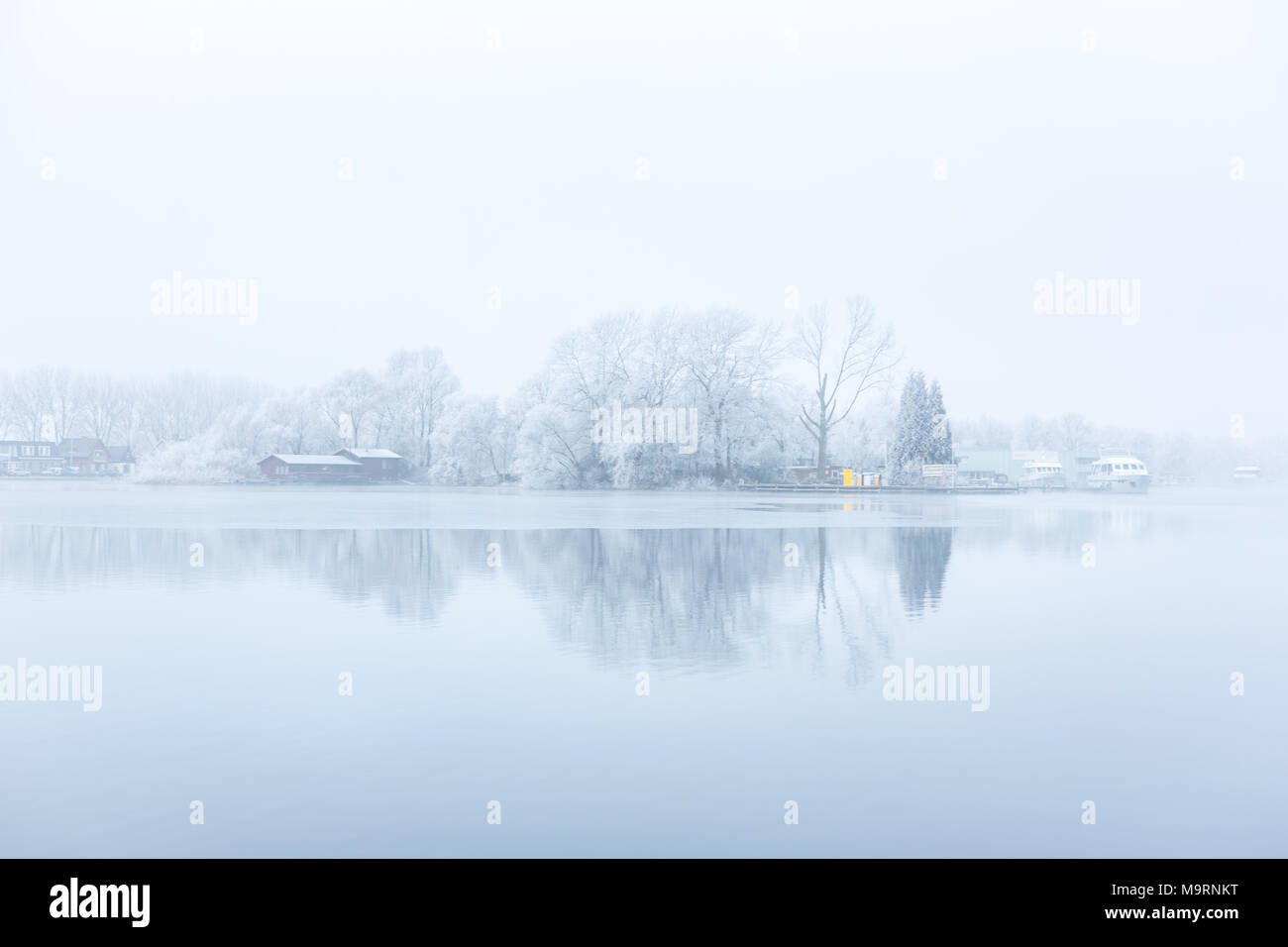 La riflessione in ghiaccio e acqua del porto di congelati gli alberi e la nebbia oltre la citylake " Nieuwe Meer' in Amsterdam Paesi Bassi. Foto Stock