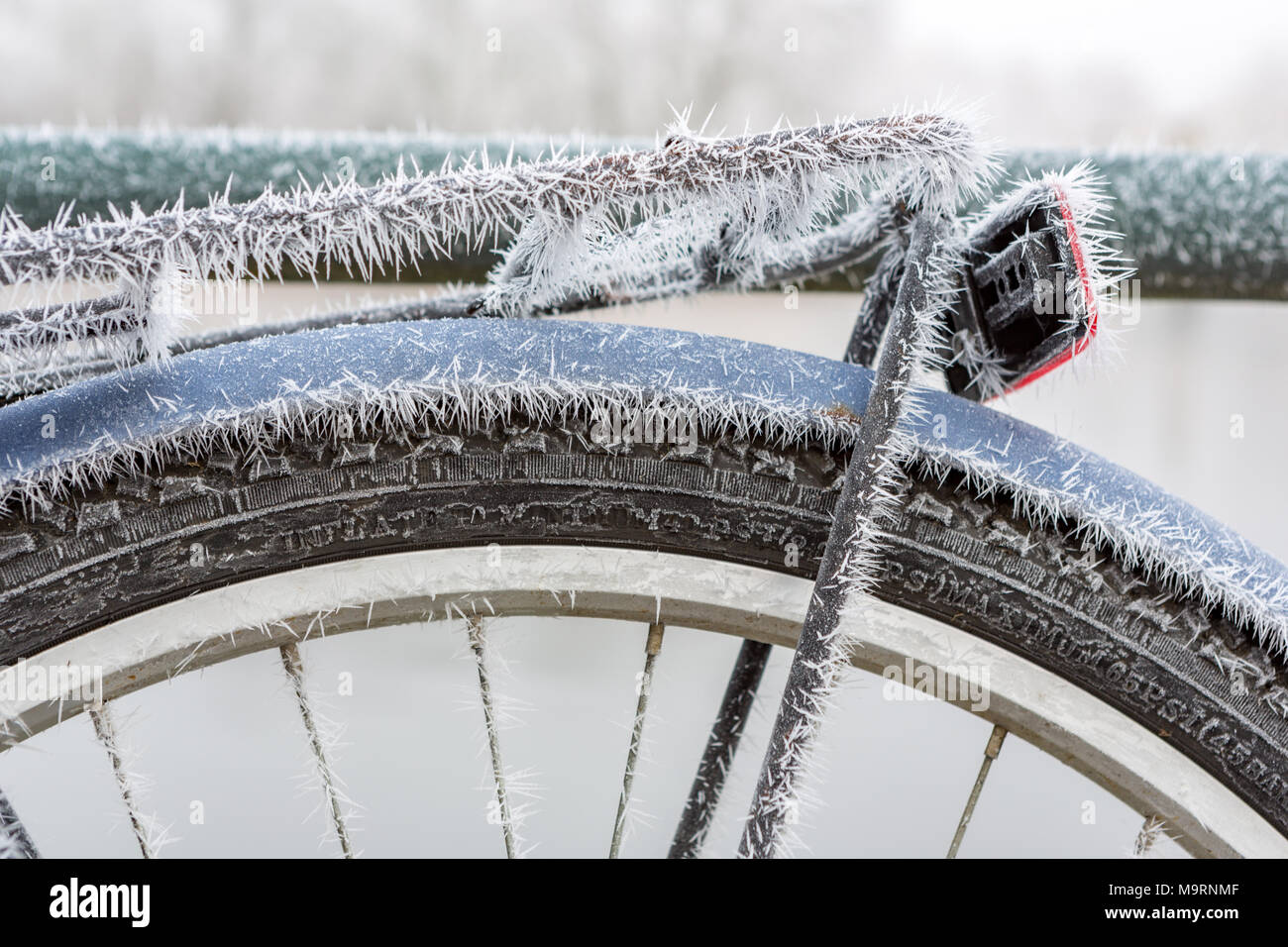 Parafango congelato dalla nebbia su una bicicletta blu. Foto Stock