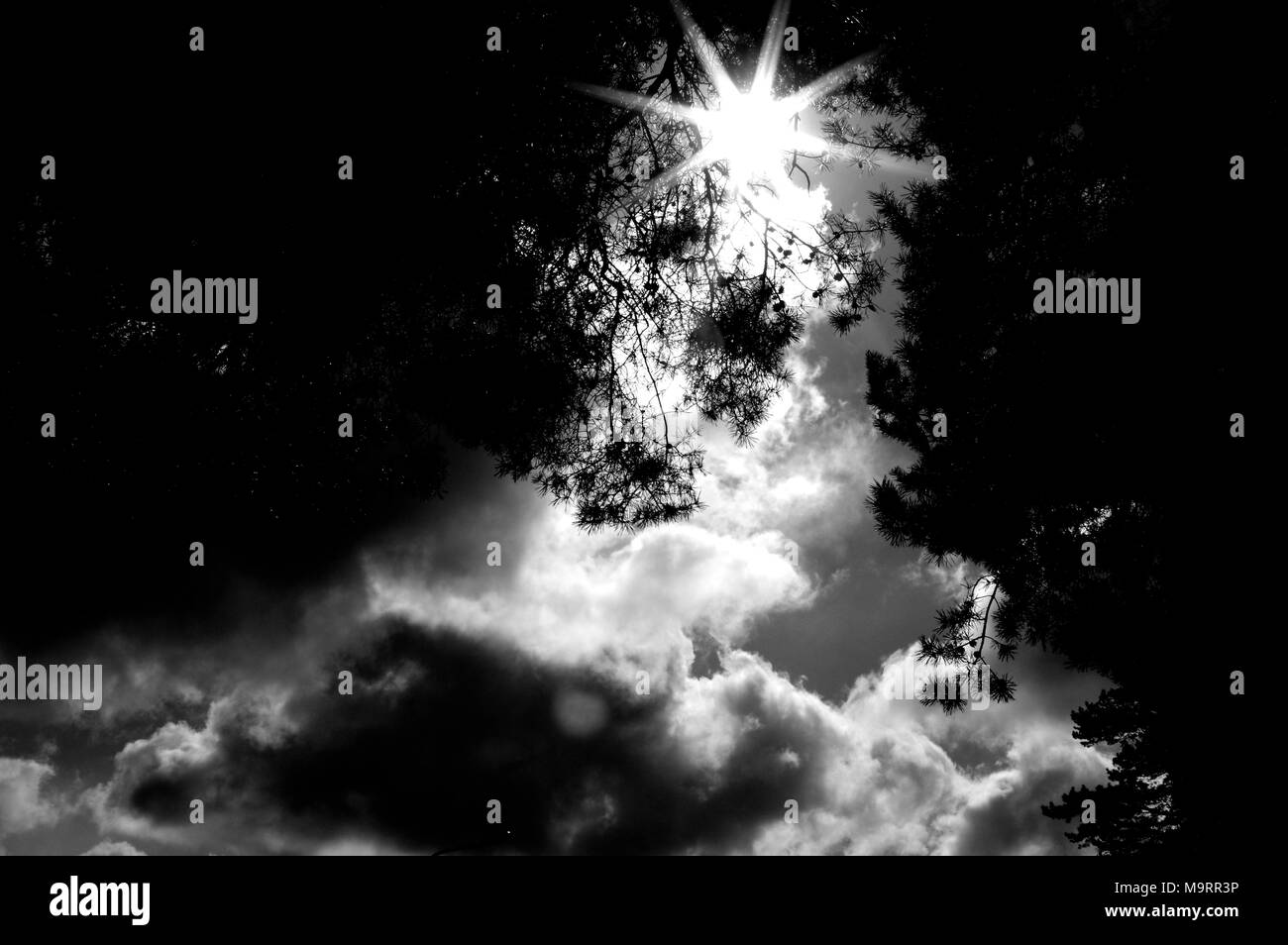 La luce del sole nel cielo Foto Stock